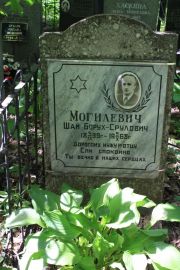 Могилев Шай Борух-Срулович, Москва, Востряковское кладбище