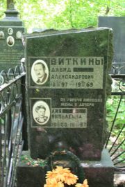 Виткин Давид Александрович, Москва, Востряковское кладбище