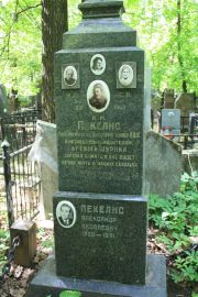 Пекелис М. Л., Москва, Востряковское кладбище
