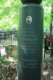 Теплицкая Берта Наумовна, Москва, Востряковское кладбище