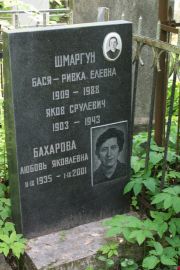 Шмаргун Бася-Ривка Елевна, Москва, Востряковское кладбище