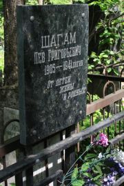 Шагам Лев Григорьевич, Москва, Востряковское кладбище
