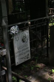 Липкин Абрам Лейбович, Москва, Востряковское кладбище