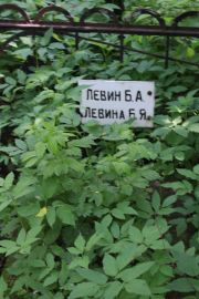 Левин Б. А., Москва, Востряковское кладбище