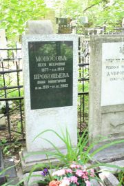 Моносова Песя Мееровна, Москва, Востряковское кладбище