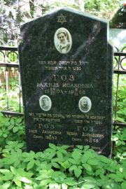 Гоз Рахиль Исаковна, Москва, Востряковское кладбище
