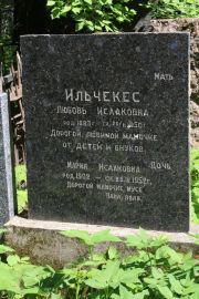 Ильчекес Любовь Исааковна, Москва, Востряковское кладбище
