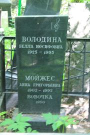 Мойжес Анна Григорьевна, Москва, Востряковское кладбище