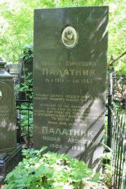 Палатник Шифра Борисовна, Москва, Востряковское кладбище