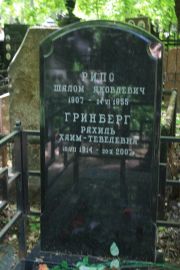 Гринберг Рахиль Хаим-Тевелевна, Москва, Востряковское кладбище