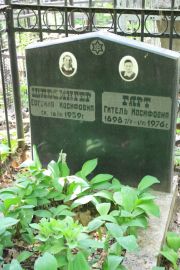 Шлезингер Евгения Иосифовна, Москва, Востряковское кладбище