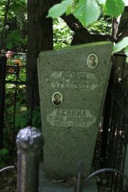 Левин Абрам Рубинович, Москва, Востряковское кладбище
