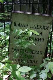Шапировский ? Лазаревич, Москва, Востряковское кладбище