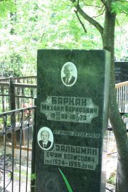 Баркан Михаил Борисович, Москва, Востряковское кладбище