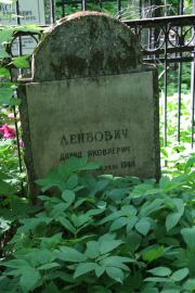 Лейбович Давид Яковлевич, Москва, Востряковское кладбище