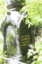 Самойлович-Цирлина Анна Давидовна, Москва, Востряковское кладбище