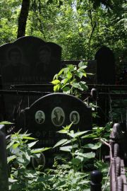 Френкель  , Москва, Востряковское кладбище
