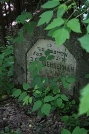 Шейнерман Э. С., Москва, Востряковское кладбище