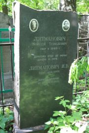 Литманович Моисей Тевелевич, Москва, Востряковское кладбище