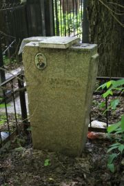Саламандра Давид Михайлович, Москва, Востряковское кладбище