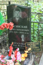 Росинский Давид Абрамович, Москва, Востряковское кладбище