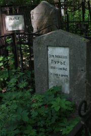 Лурье Дора Яковлевна, Москва, Востряковское кладбище