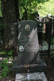 Плоткин Роман Моисеевич, Москва, Востряковское кладбище