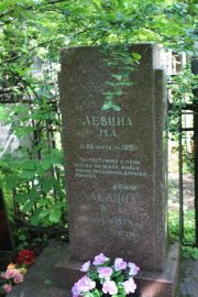 Левина М. А., Москва, Востряковское кладбище