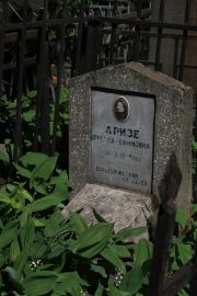 Дризе Агнеса Ефимовна, Москва, Востряковское кладбище