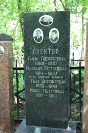 Спектор Линь Лазаревич, Москва, Востряковское кладбище
