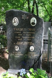 Гендельсман Софья Иосифовна, Москва, Востряковское кладбище