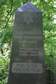 Добровицкий Цви Ицхакович, Москва, Востряковское кладбище