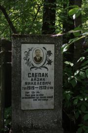 Слепак Айзик Янкелевич, Москва, Востряковское кладбище