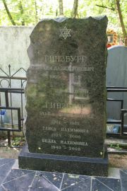 Гинзбург Нахим-Давид Ионович, Москва, Востряковское кладбище