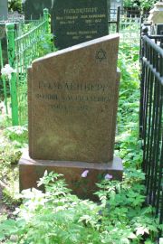 Гольденберг Фаина Касриэлевна, Москва, Востряковское кладбище