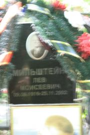 Мильштейн Лев Моисеевич, Москва, Востряковское кладбище