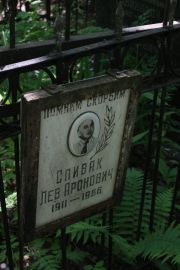 Спивак Лев Аронович, Москва, Востряковское кладбище