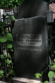 Гольдин Яков Ефимович, Москва, Востряковское кладбище