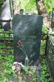 Каплун И. И., Москва, Востряковское кладбище
