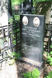 Гинзбург Шмуль Бенционович, Москва, Востряковское кладбище