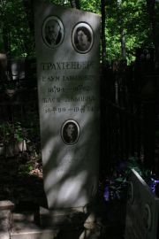 Трахтенберг Наум Давыдович, Москва, Востряковское кладбище