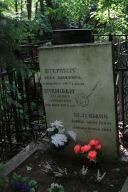 Беленький Давид Моисеевич, Москва, Востряковское кладбище