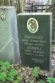Левина Сарра Исаевна, Москва, Востряковское кладбище
