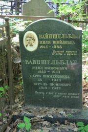 Вайншельблат Циля Шойловна, Москва, Востряковское кладбище