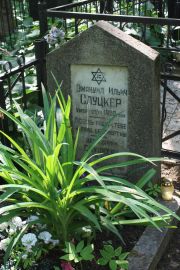 Слуцкер Эмануил Ильич, Москва, Востряковское кладбище