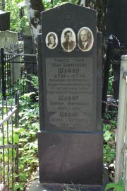 Шафир Меер Самуилович, Москва, Востряковское кладбище