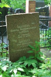 Авербах Давид Вениаминович, Москва, Востряковское кладбище