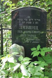 Лившиц Лев Моисеевич, Москва, Востряковское кладбище