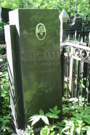 Розенфельд Софья Семеновна, Москва, Востряковское кладбище