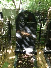 Уэцкая Басшева Гершоновна, Москва, Востряковское кладбище